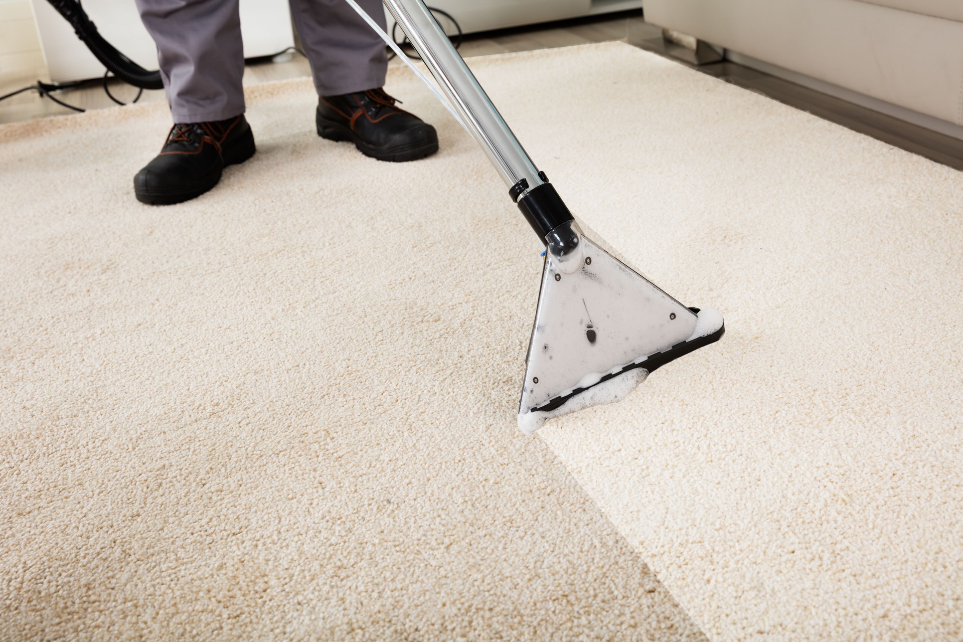 Technicien effectuant le nettoyage de tapis avec aspirateur professionnel